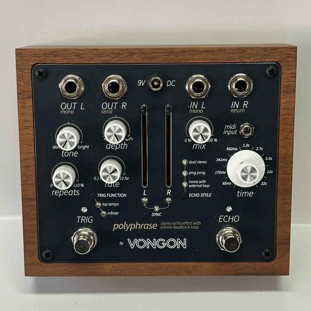 Vongon Polyphrase Stereo Echo Effect with Infinite Feedback Loop